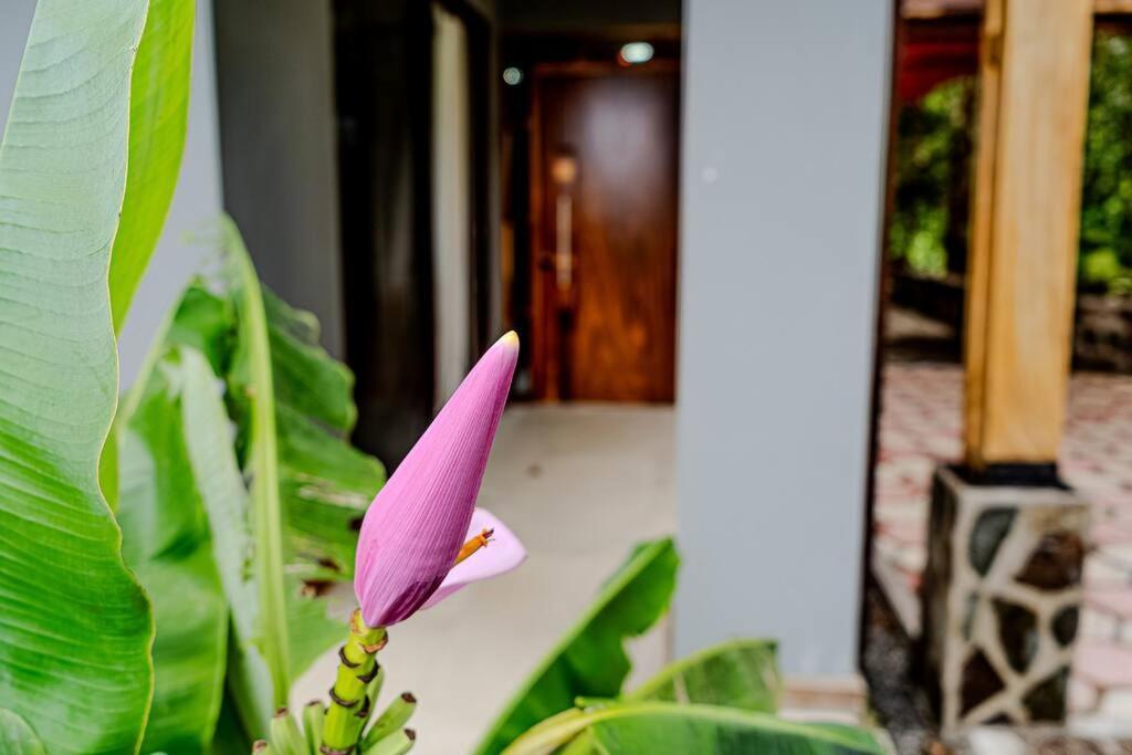 Cloud Forest House Monteverdes מראה חיצוני תמונה